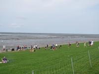 Wattwanderung - Nordseeküstenradweg