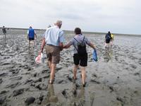 Wattwanderung - Nordseeküstenradweg