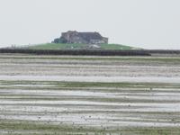 Wattwanderung - Nordseeküstenradweg