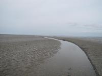 Wattwanderung - Nordseeküstenradweg