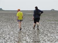 Wattwanderung - Nordseeküstenradweg