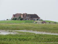 auf der Hallig Nordstrandischmoor