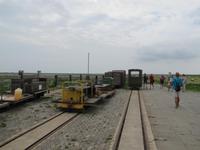 auf der Hallig Nordstrandischmoor