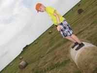 auf der Hallig Nordstrandischmoor