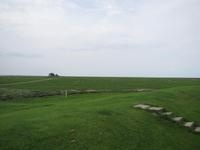 auf der Hallig Nordstrandischmoor