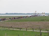 auf der Hallig Nordstrandischmoor