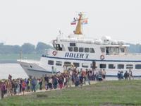 auf der Hallig Nordstrandischmoor