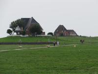 auf der Hallig Nordstrandischmoor