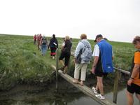 auf der Hallig Nordstrandischmoor