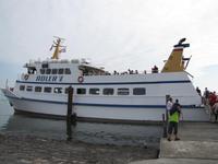 auf der Hallig Nordstrandischmoor