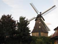 Besichtigung der Mühle in Wittensee