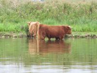 Kanutour rund um Bretz