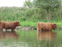 Kanutour rund um Bretz