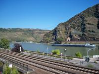 Blick auf den Rhein
