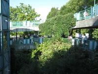 Stadtführung in Bregenz