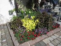 Stadtführung in Bregenz-Altstadt