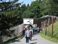 Wildpark auf dem Pfänder