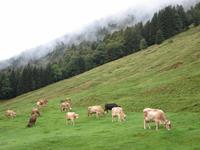 Blick aus dem Hotelfenster