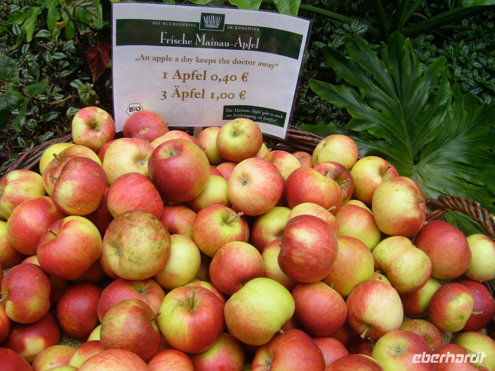 Apfelernte auf der Mainau
