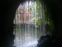 Grotte im Schmetterlingshaus