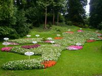 der Bodensee als Blumenmotiv