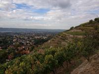 Blicke vom Eggersweg &ndash; &copy; René Wächtler (Eberhardt TRAVEL)