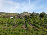 ...aber das wissen wir jetzt noch nicht... &ndash; &copy; René Wächtler (Eberhardt TRAVEL)