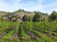 ... unser Ziel... &ndash; &copy; René Wächtler (Eberhardt TRAVEL)