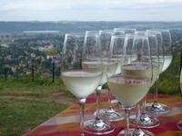 Cuvee Edition Elbflorenz &ndash; &copy; René Wächtler (Eberhardt TRAVEL)