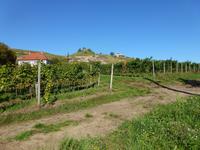 Ein sonniger Tag... &ndash; &copy; René Wächtler (Eberhardt TRAVEL)