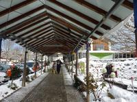 im Weinfurtner Glasdorf