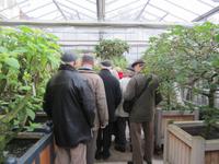 Führung im Palmenaus Bad Pyrrmont