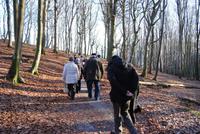 Spaziergang auf der Halbinsel Jasmund