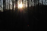 auf der Halbinsel Jasmund