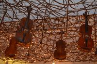 059 Musikalische Weinprobe bei Wein & Friends