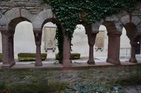 062 Stadtführung Würzburg, Lusamgärtlein am Neumünster