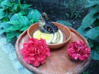 Bei der Nahrungsaufnahme