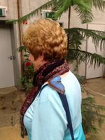 Gäste ziehen magisch an