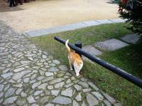 Dorfmuseum Markersdorf