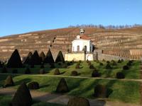 IMG_6480.Weingut Wackerbarth