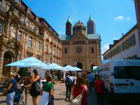 Blick zum Dom von Speyer