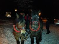 Pferdeschlittenfahrt zum Rennsteig &ndash; &copy; Dirk Schlosser (Eberhardt TRAVEL)