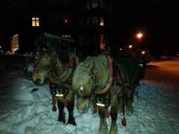 Pferdeschlittenfahrt zum Rennsteig &ndash; &copy; Dirk Schlosser (Eberhardt TRAVEL)