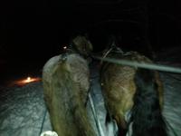 Pferdeschlittenfahrt zum Rennsteig &ndash; &copy; Dirk Schlosser (Eberhardt TRAVEL)