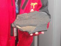 versteinerter Fisch &ndash; &copy; Michael Krause (Eberhardt TRAVEL)