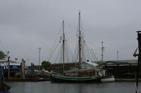 die Krabbenkutter von Büsum