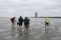 die mutigen Wattwanderer