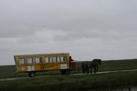 unsere Kutsche auf der Hallig Hooge