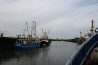 Ausfahrt mit dem Krabbenkutter 