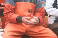 die Krabbenfischer zeigen und erklären ihren 